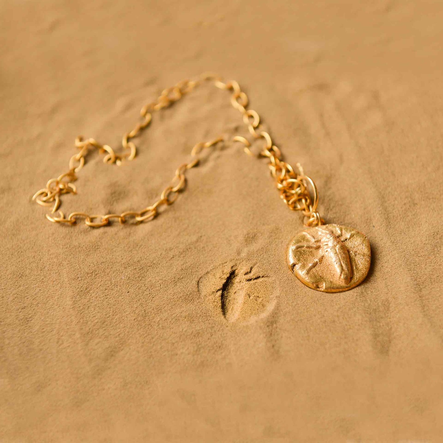 FOSSIL SHACKLE 1