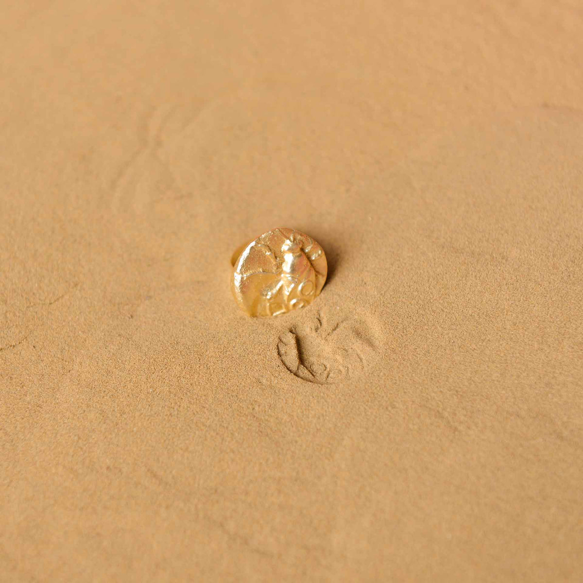 FOSSIL RING 3