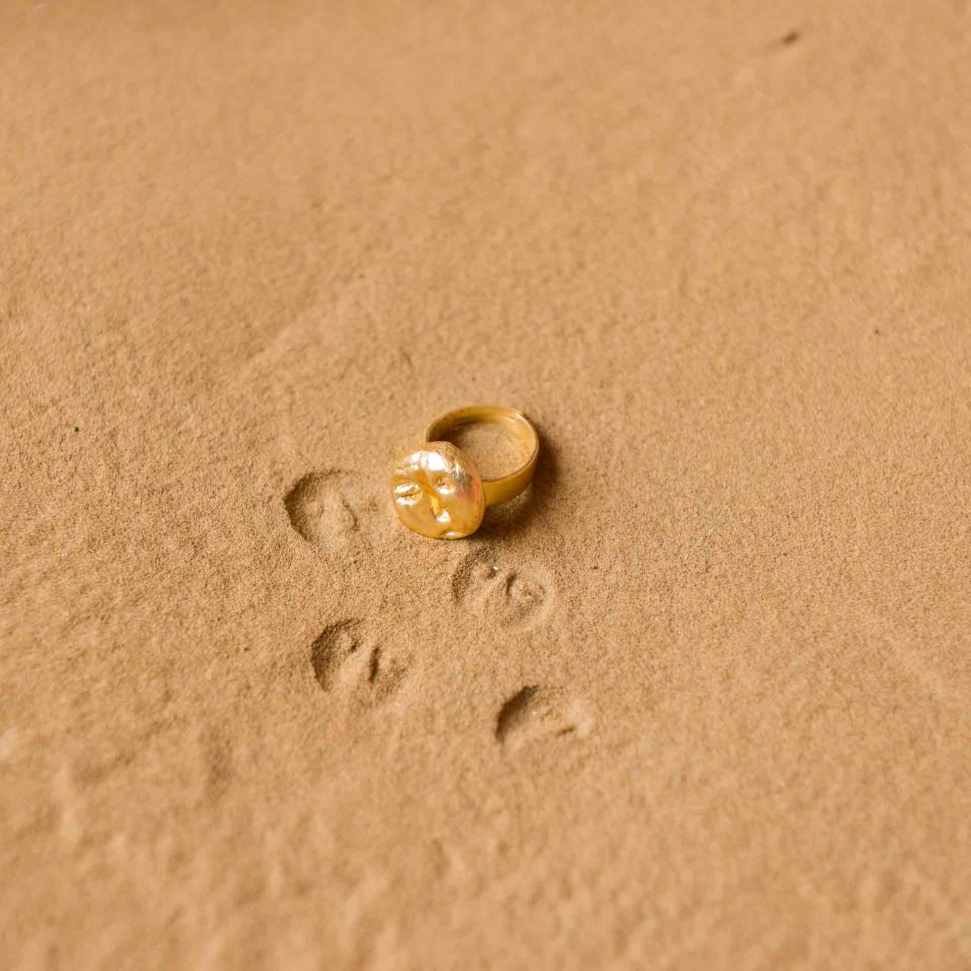 FOSSIL RING 2